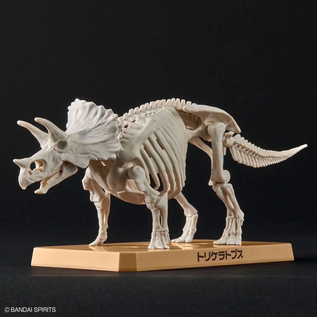 Bandai PLANNOSAURUS Triceratops Model Kit