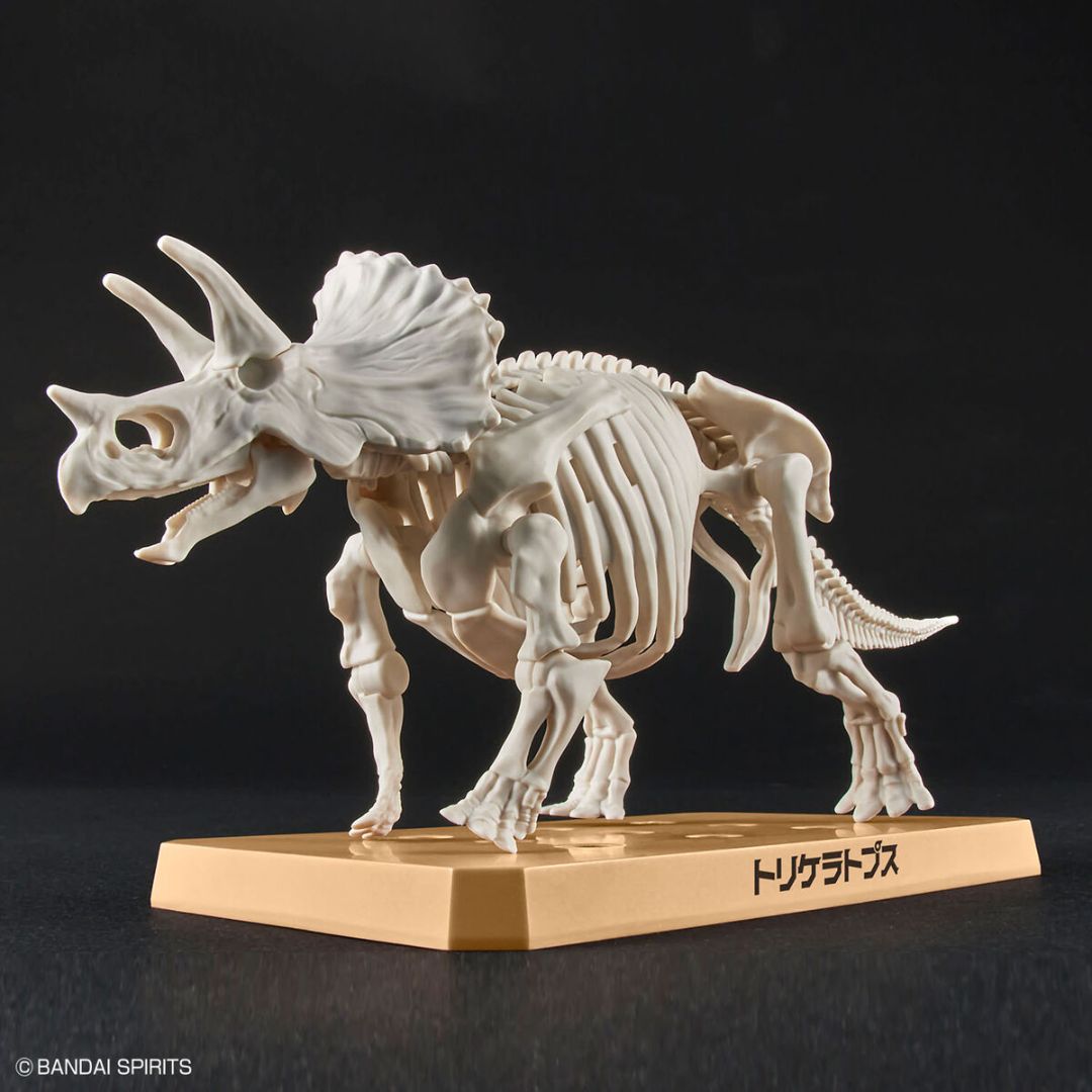 Bandai PLANNOSAURUS Triceratops Model Kit