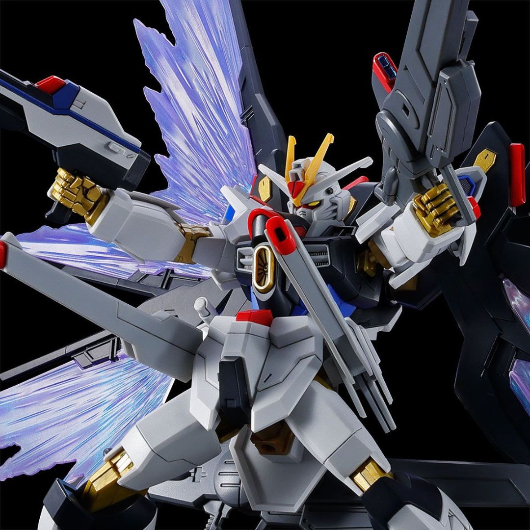 Bandai PB HG 1/144 Strike Freedom Gundam Typell & Wings of Light Effect Set