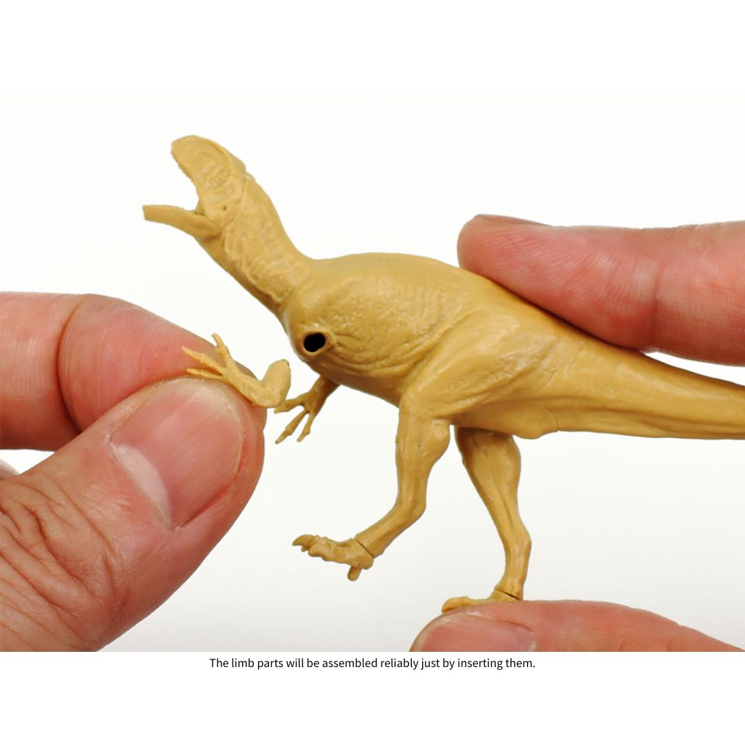 TAMIYA 1/35 Dinosaur Series: FUKUIRAPTOR (28501)