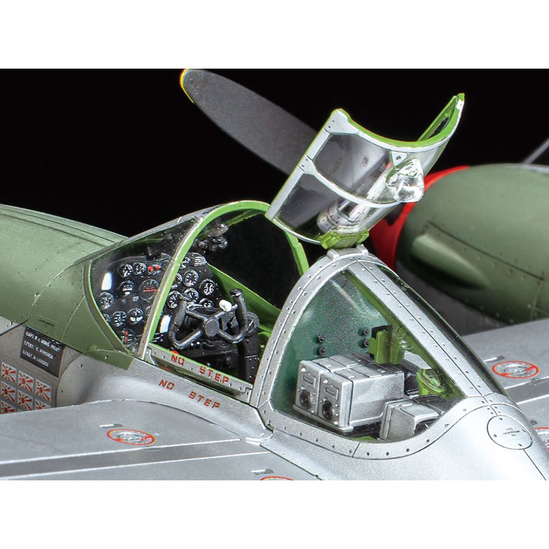 TAMIYA 1/48 Lockheed¨ P-38¨J Lightning (61123)