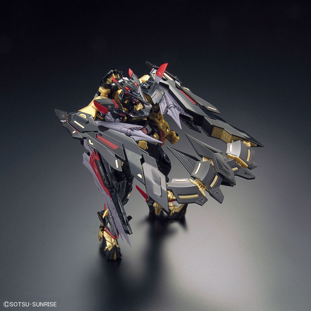 Bandai RG 1/144 No.24 MBF-P01-Re2 Gundam Astray Gold Frame Amatsu Mina